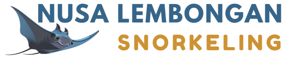 Nusa Lembongan Snorkeling